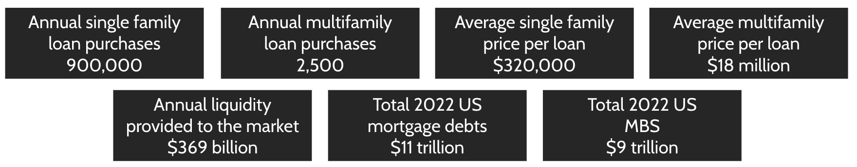 Fannie Annual Stats